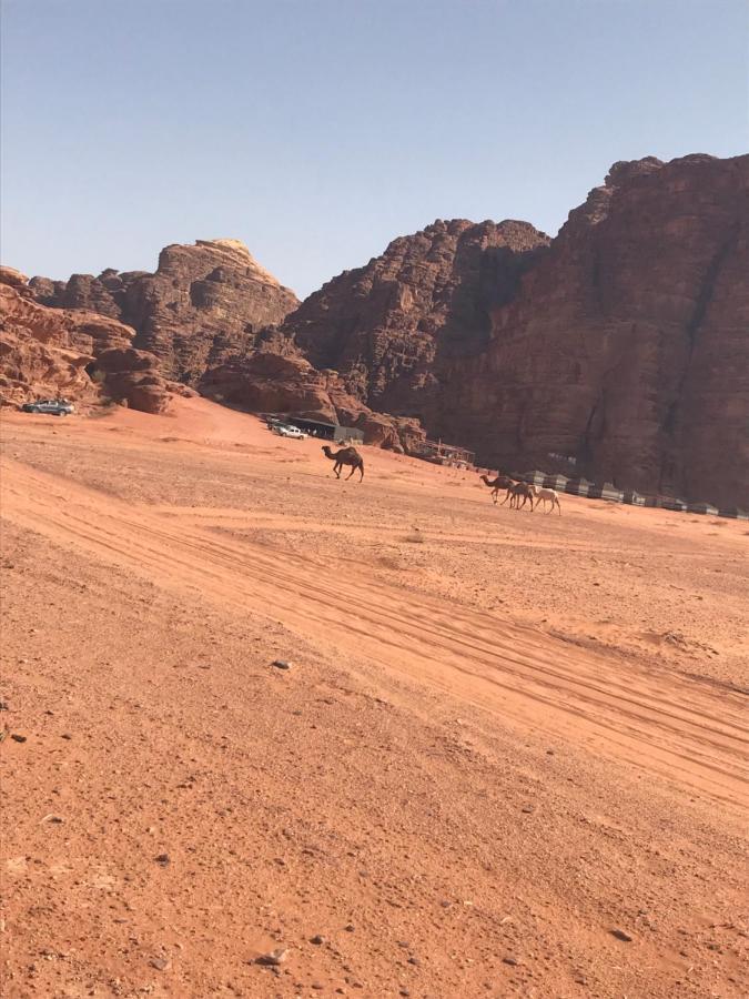 Bedouin House Camp Hotel Rum vádi Kültér fotó