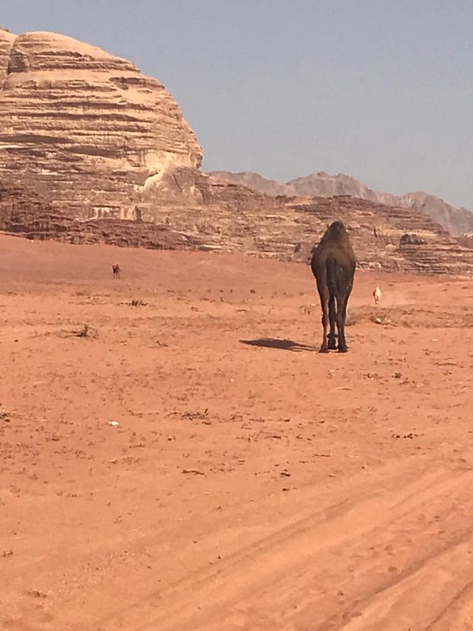 Bedouin House Camp Hotel Rum vádi Kültér fotó